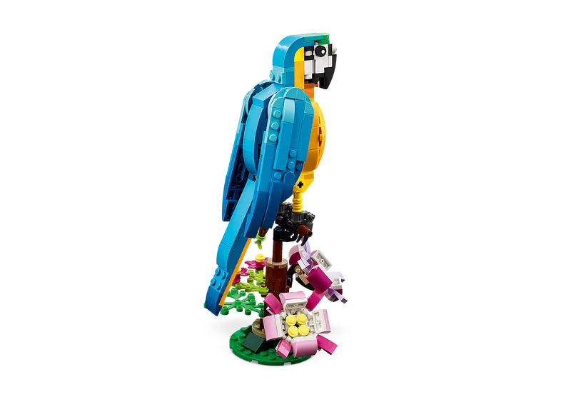 Exotic Parrot