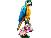 Exotic Parrot