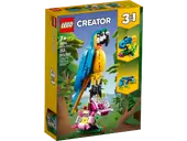Exotic Parrot