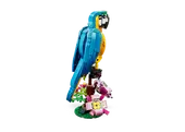 Exotic Parrot