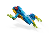 Exotic Parrot