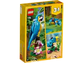 Exotic Parrot