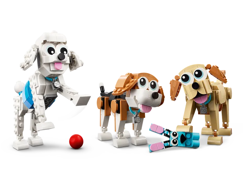 Adorable Dogs