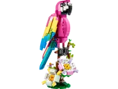 Exotic Pink Parrot