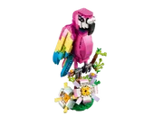 Exotic Pink Parrot