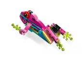 Exotic Pink Parrot