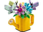 Flowers in Watering Can