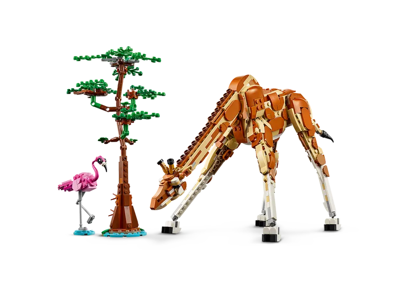 Wild Safari Animals