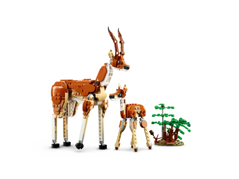 Wild Safari Animals