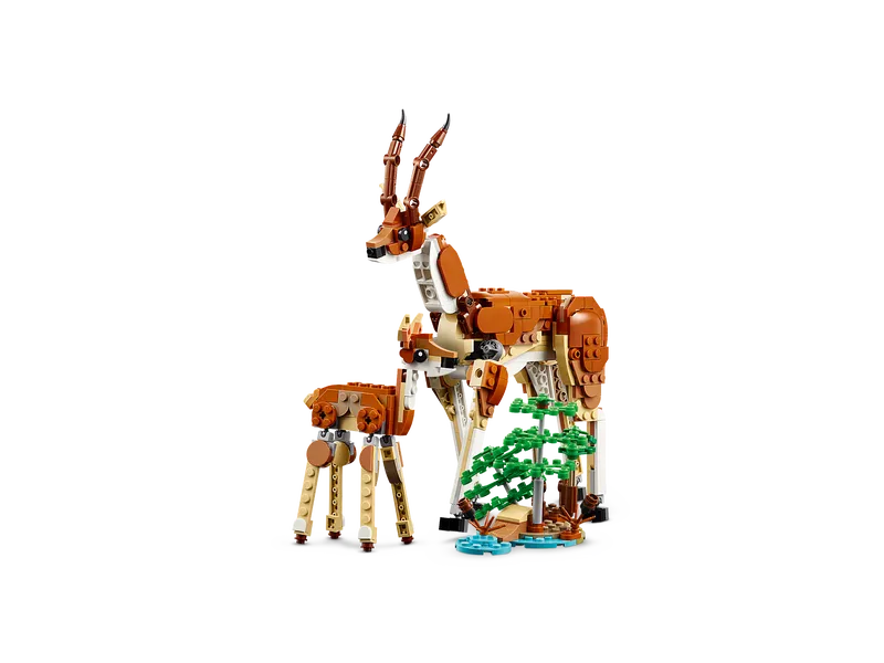 Wild Safari Animals