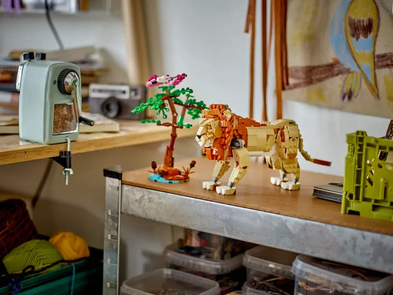 Wild Safari Animals