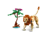 Wild Safari Animals