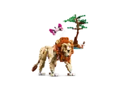 Wild Safari Animals