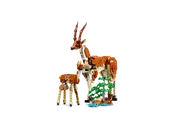 Wild Safari Animals