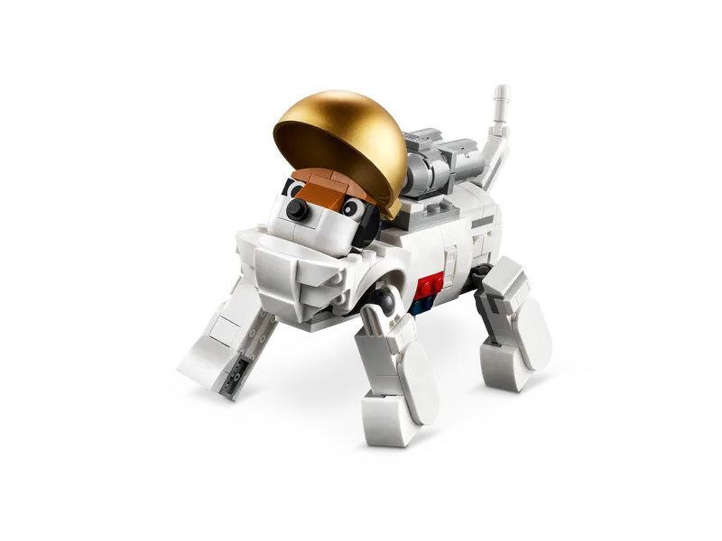 Space Astronaut
