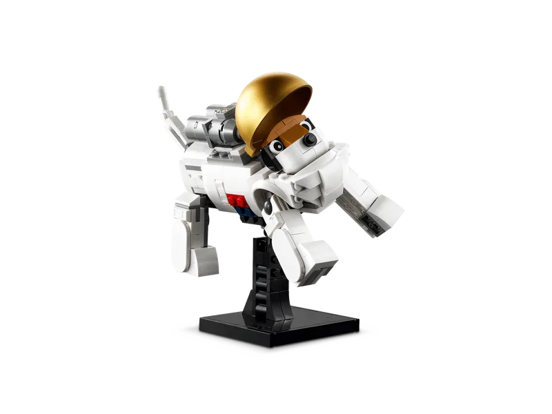 Space Astronaut