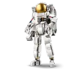 Space Astronaut