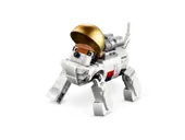 Space Astronaut