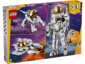 Space Astronaut