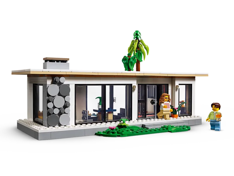 Modern House