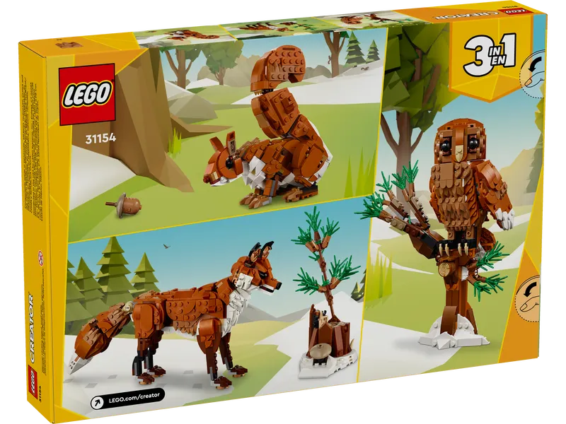Forest Animals: Red Fox