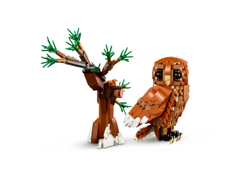 Forest Animals: Red Fox