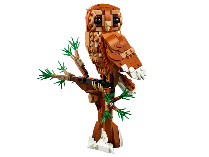 Forest Animals: Red Fox