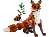 Forest Animals: Red Fox