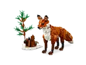 Forest Animals: Red Fox