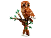 Forest Animals: Red Fox