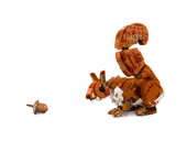 Forest Animals: Red Fox