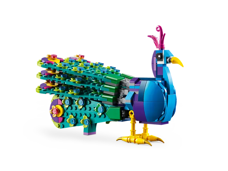 Exotic Peacock