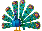 Exotic Peacock