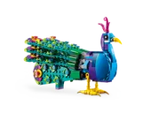 Exotic Peacock