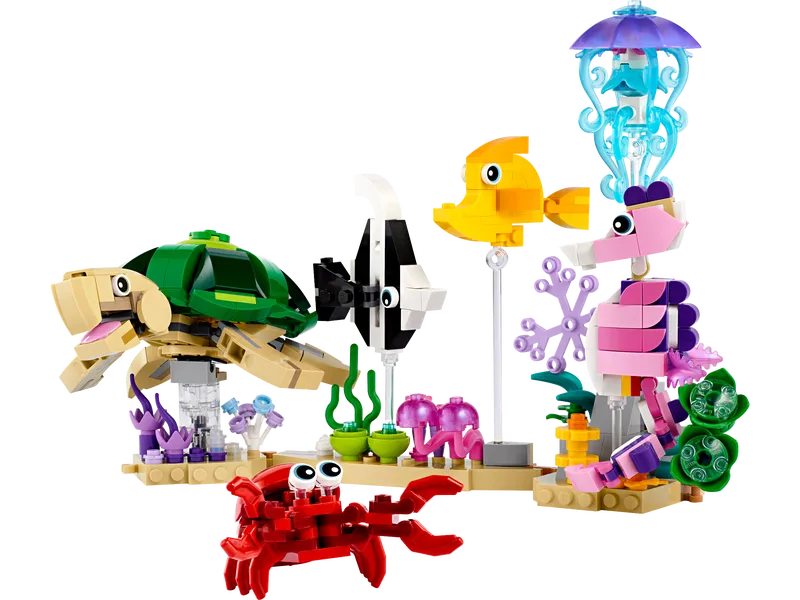 Sea Animals