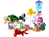 Sea Animals