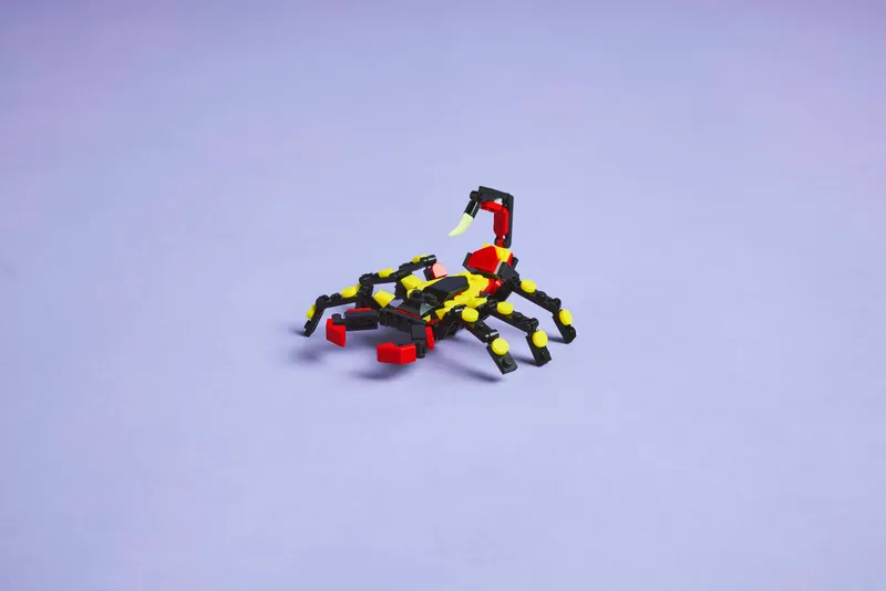Wild Animals: Surprising Spider