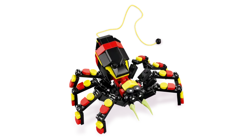 Wild Animals: Surprising Spider