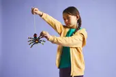 Wild Animals: Surprising Spider