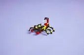 Wild Animals: Surprising Spider