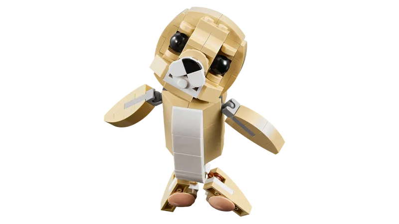 Cute Bunny