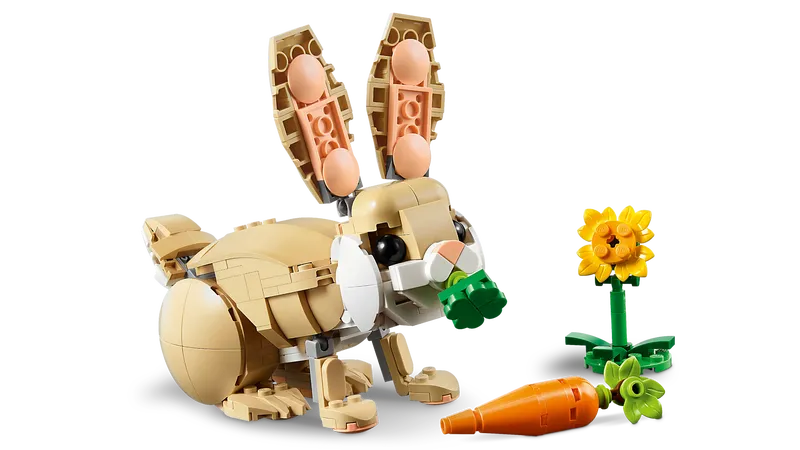 Cute Bunny