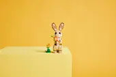Cute Bunny
