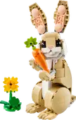 Cute Bunny