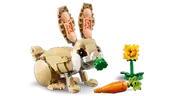 Cute Bunny