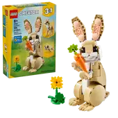 Cute Bunny