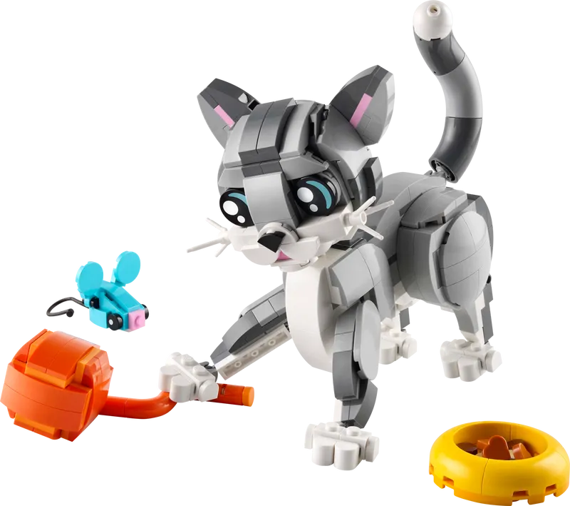 Playful Cat