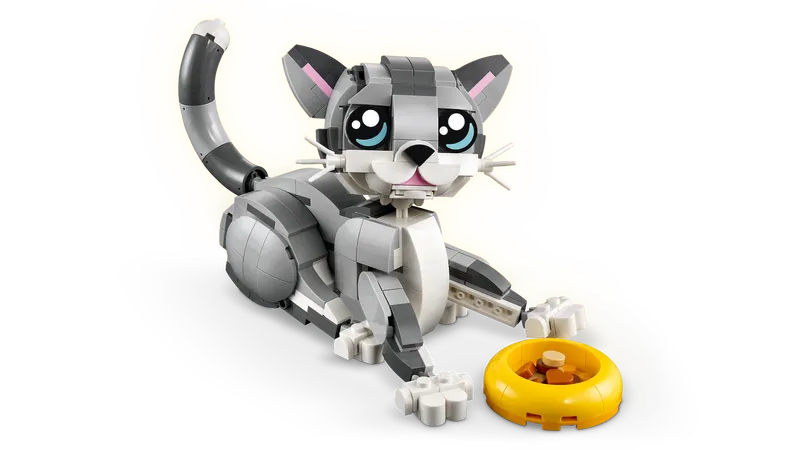 Playful Cat