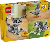 Playful Cat