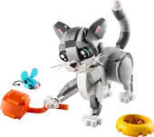 Playful Cat